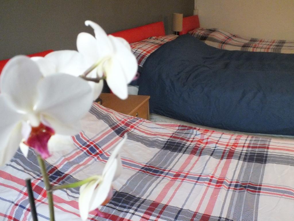 بيلث ويلز Bonna'S Bed And Breakfast المظهر الخارجي الصورة